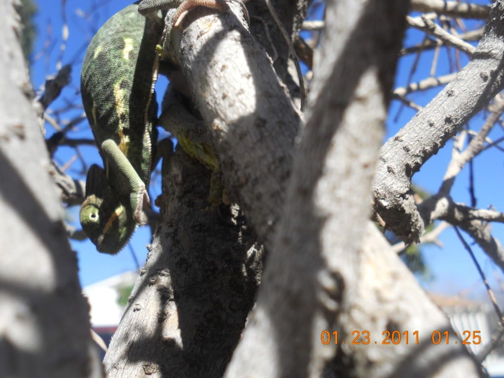 DSCN1537.jpg