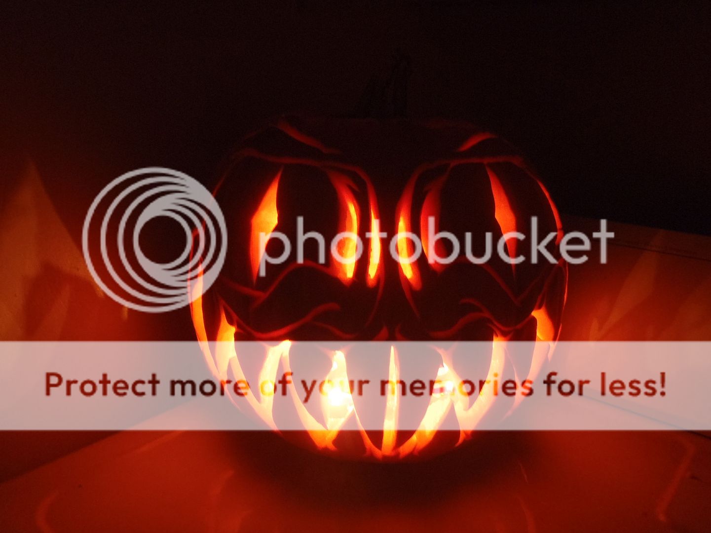 PA310279.jpg