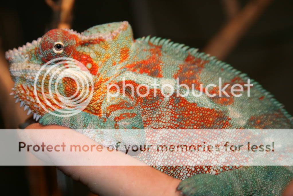 picsfromtoday027.jpg
