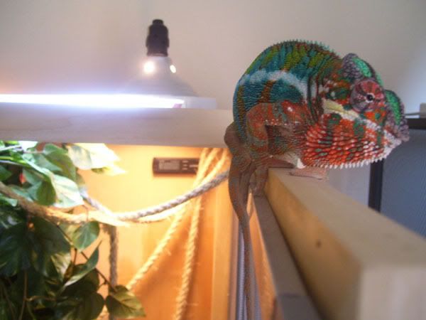 100_6656.jpg