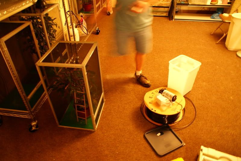 DSC01659-1.jpg