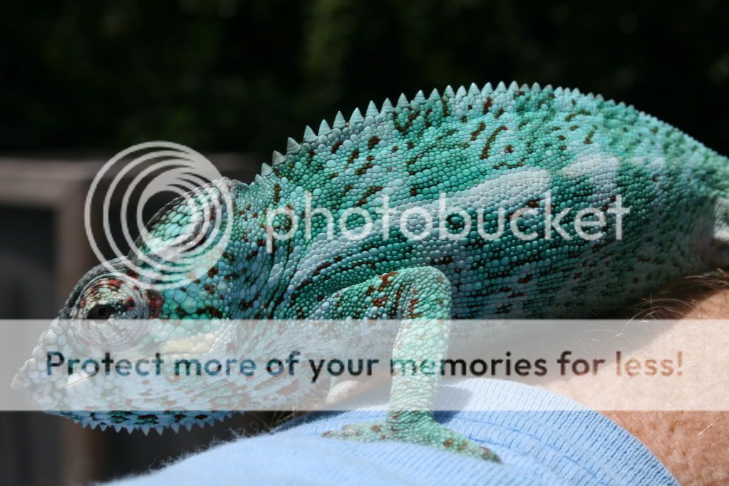 eospics9-19-09025.jpg