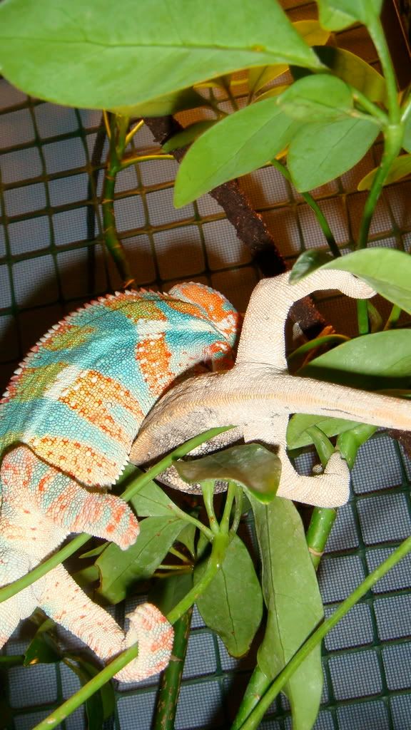 DSC02056.jpg