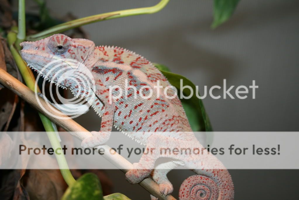sunpics014.jpg