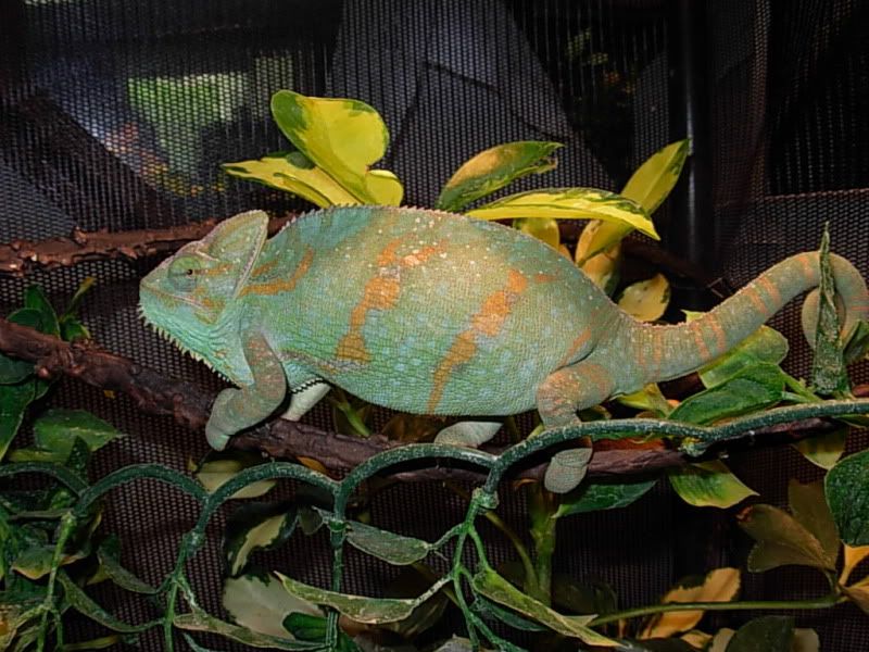 DSCN4159.jpg