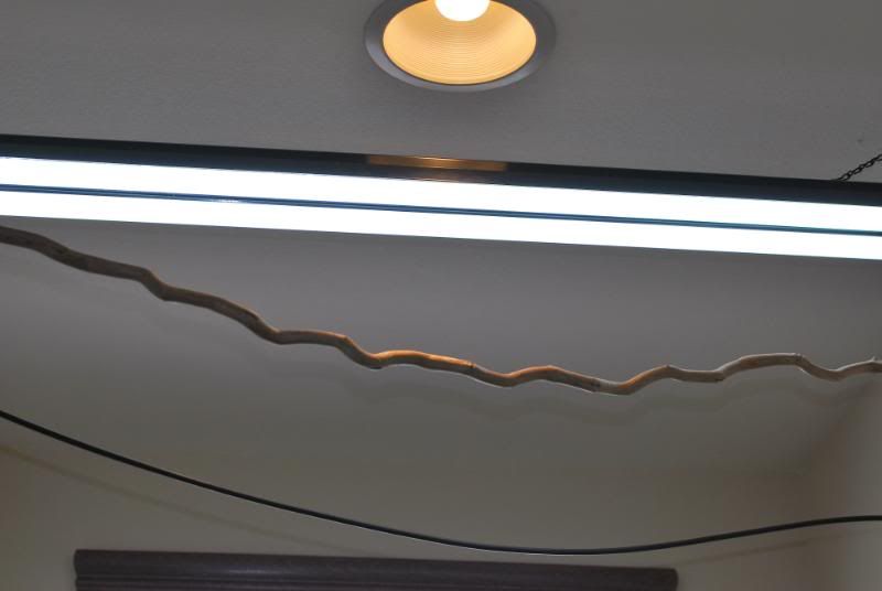 lights.jpg