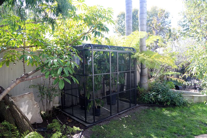 Parsons-Cage-1_zps0e9a215c.jpg