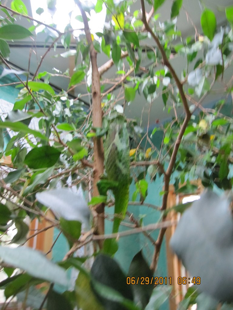 5887381039_e543f0c240_b.jpg