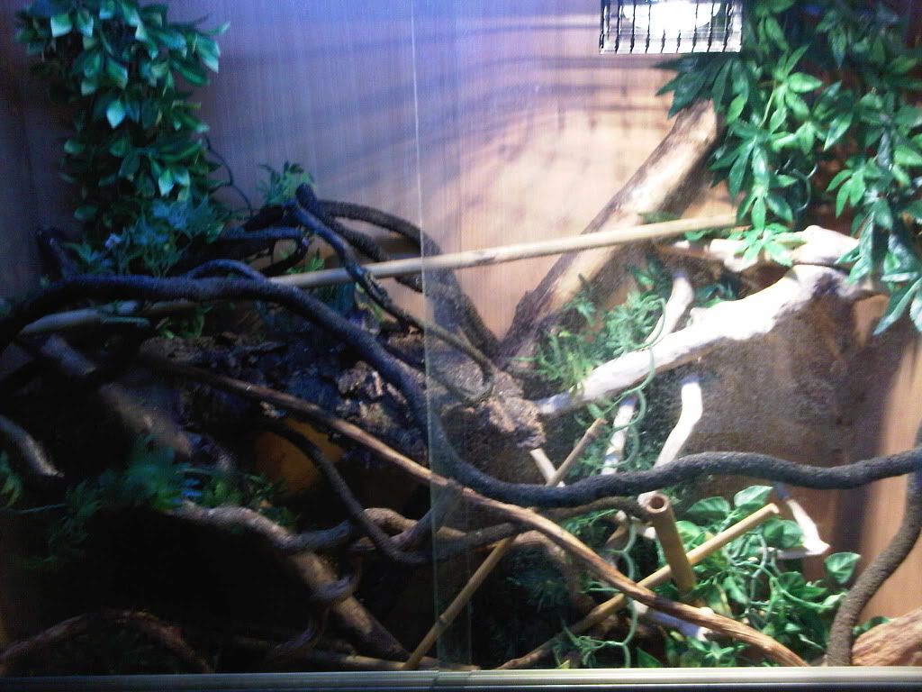 IMG00865-20110725-1637.jpg