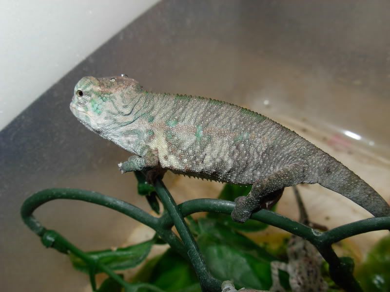 DSCN5629.jpg