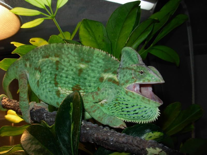 DSCN8281.jpg