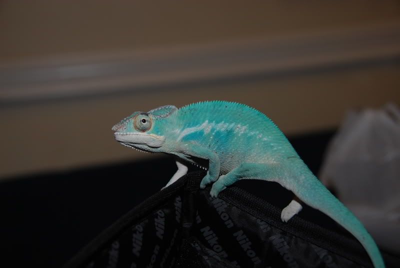 20071029002.jpg