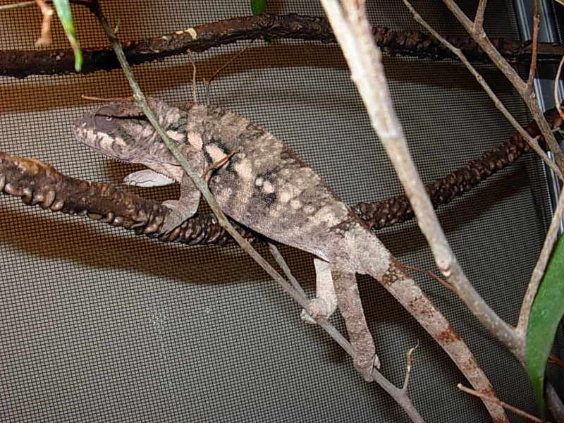 DSCN2810.jpg