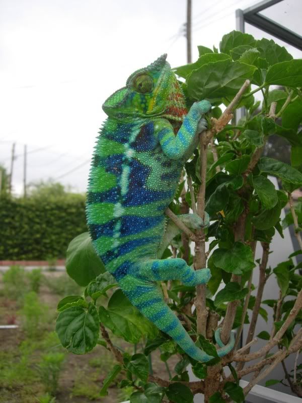 DSCN1576.jpg