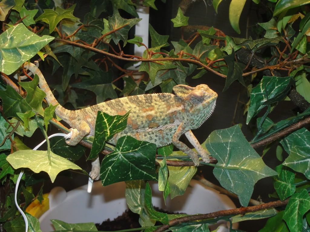 DSC00815.jpg