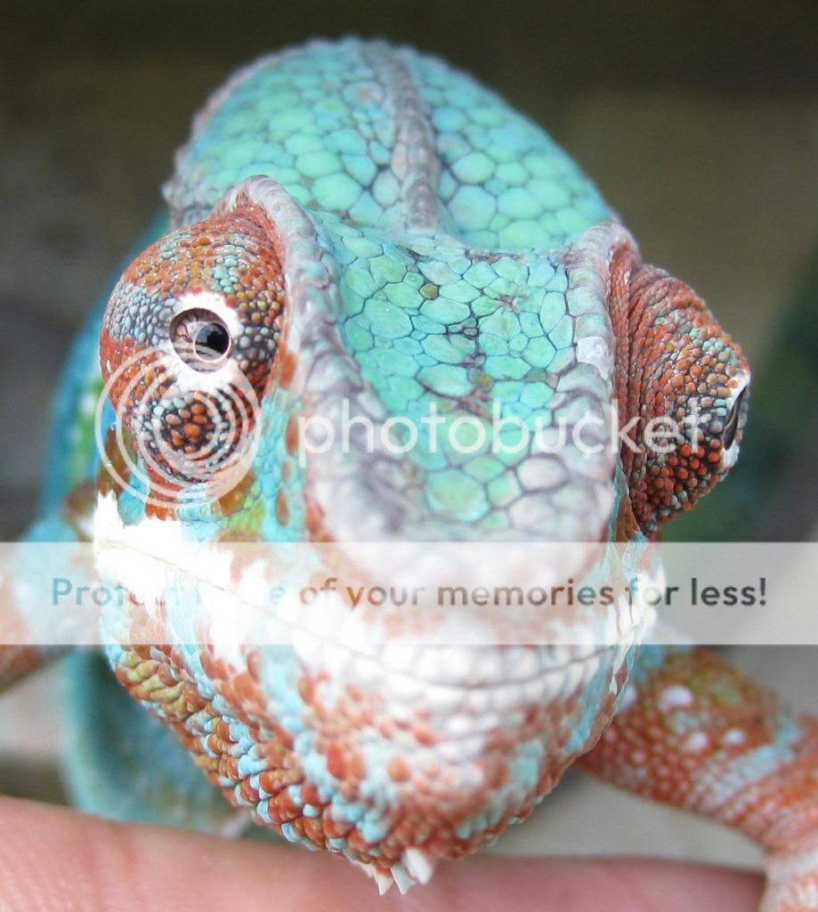 EyeOnYou.jpg