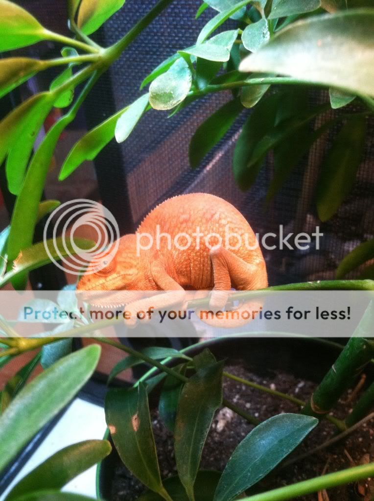 PhotoApr1381523PM.jpg
