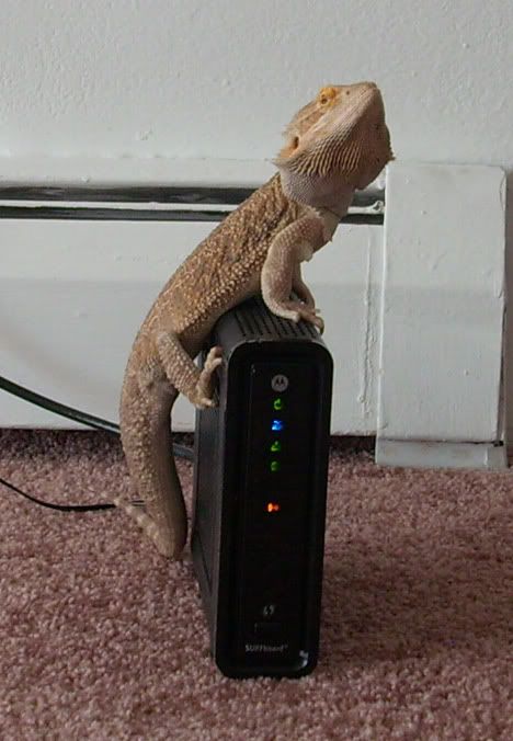 Frackarouter.jpg