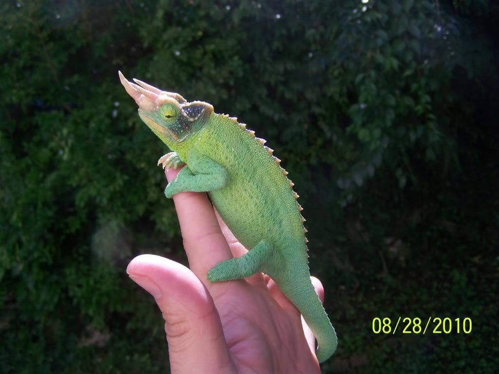 100_3578.jpg