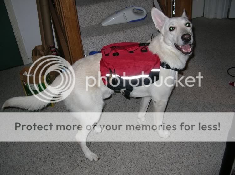 DSCN0229.jpg