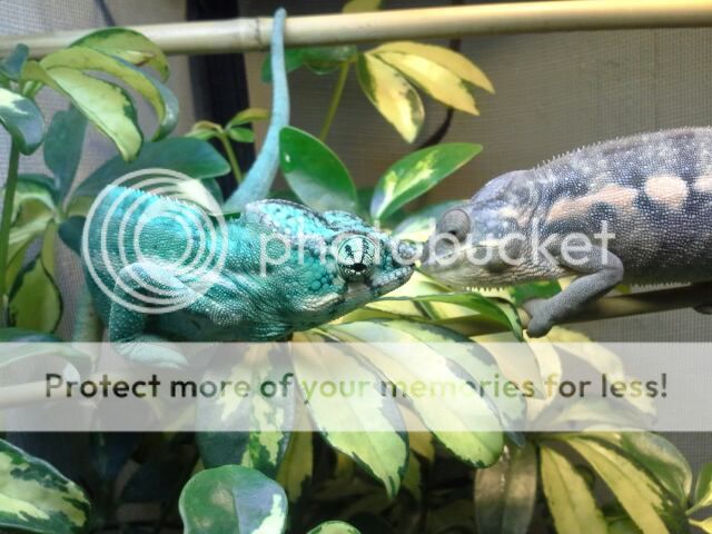 20120703_184125.jpg