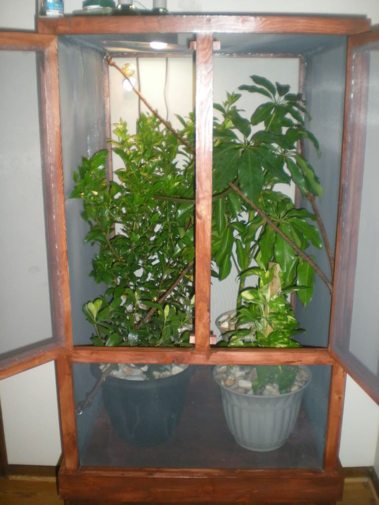 Picture012.jpg