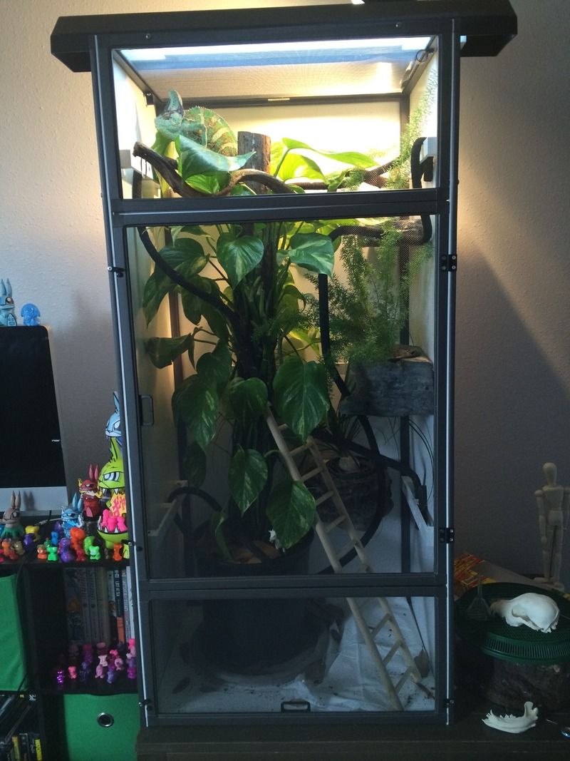 anarchys%20enclosure%204-11.jpg