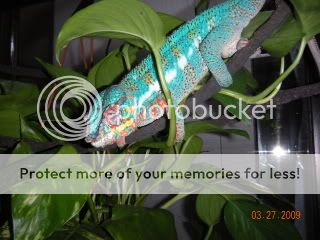 DSCN0625.jpg