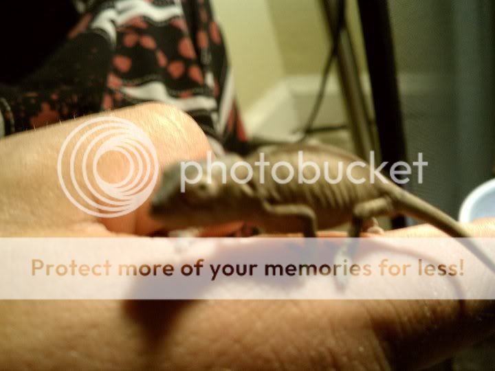 photo.jpg