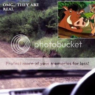 timonandpumba_zps9baf1d90.jpg