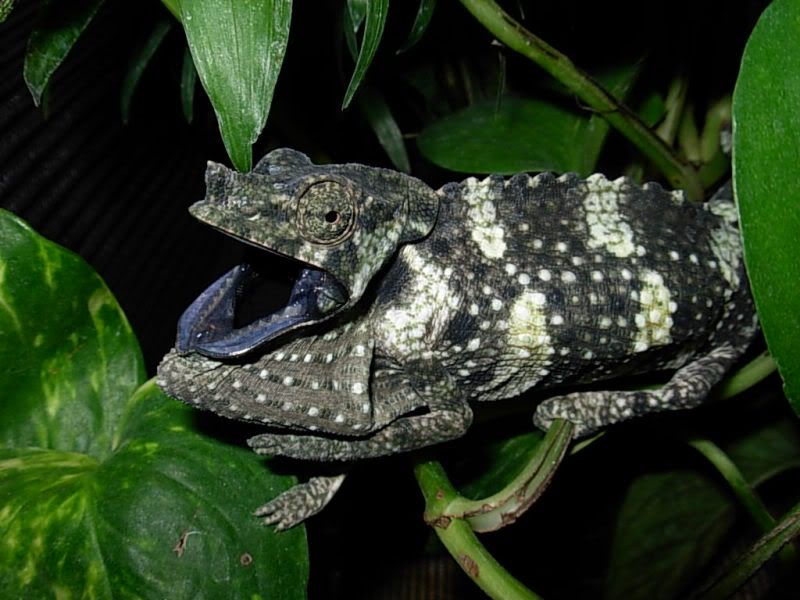 DSCN3287.jpg