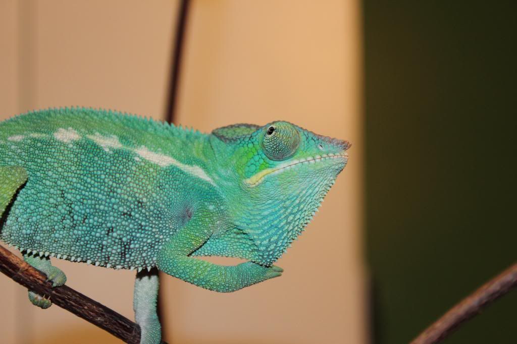 DPP_0020_zpsbfb2d5eb.jpg