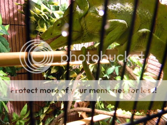 20101007_23.jpg