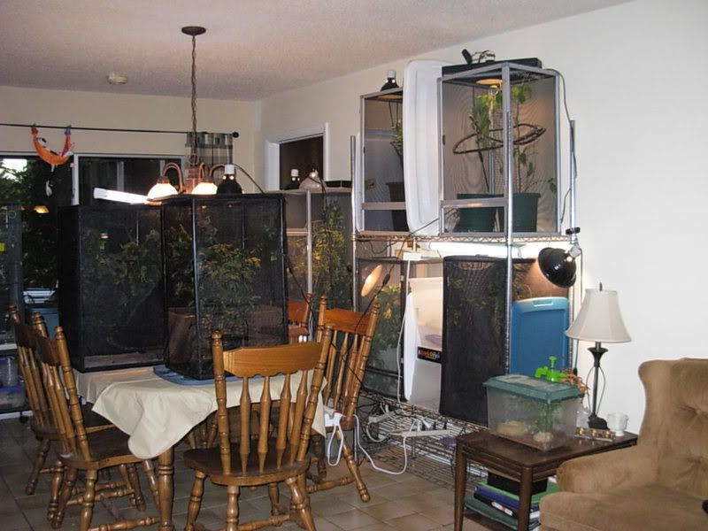 DSCN2904.jpg