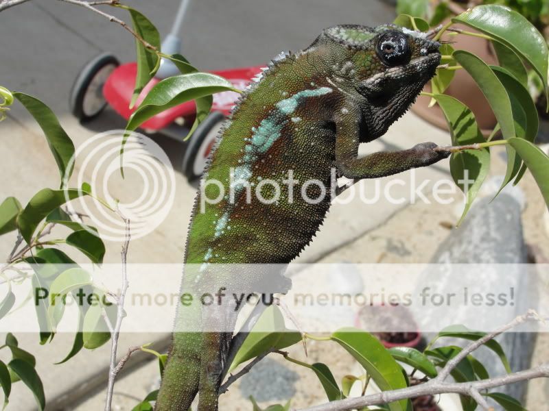 DSC07904.jpg