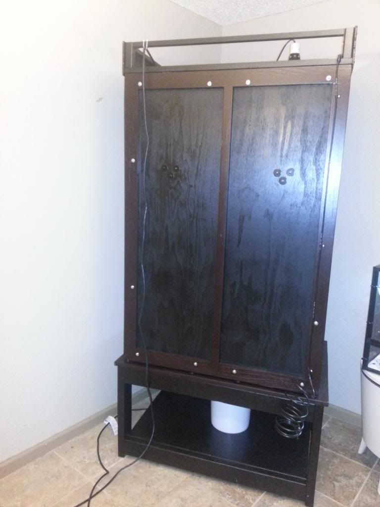 DIY Chameleon Mansion Build | Chameleon Forums