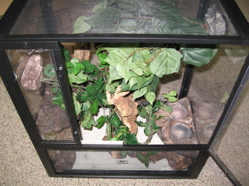 IMG_2089.jpg