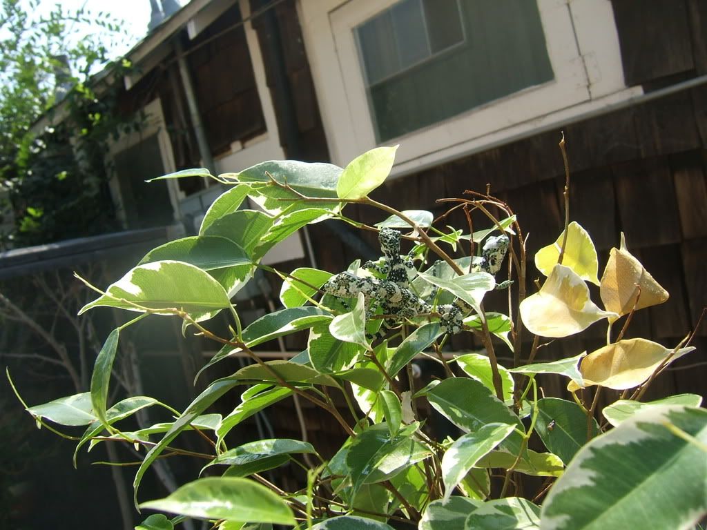 DSCF7501.jpg