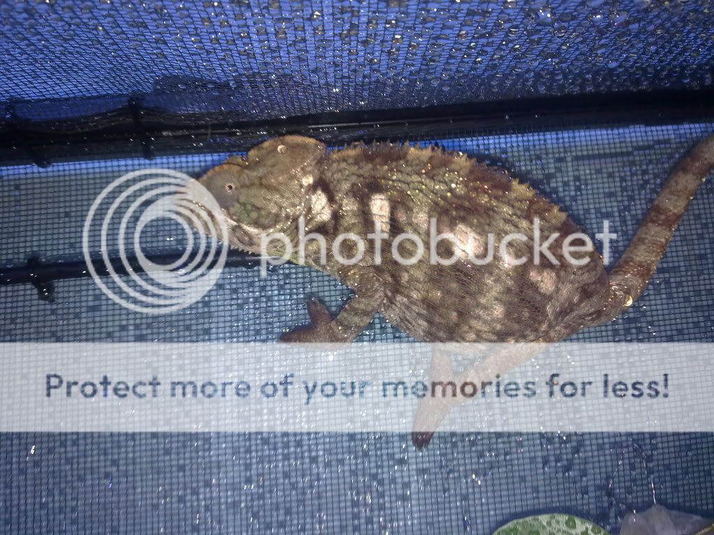 18072010117.jpg
