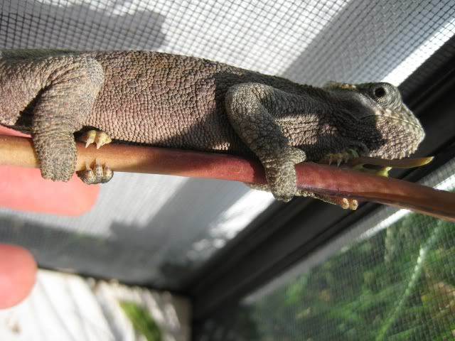 Picture1137043.jpg