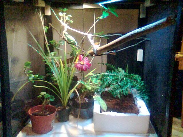 Pix028.jpg
