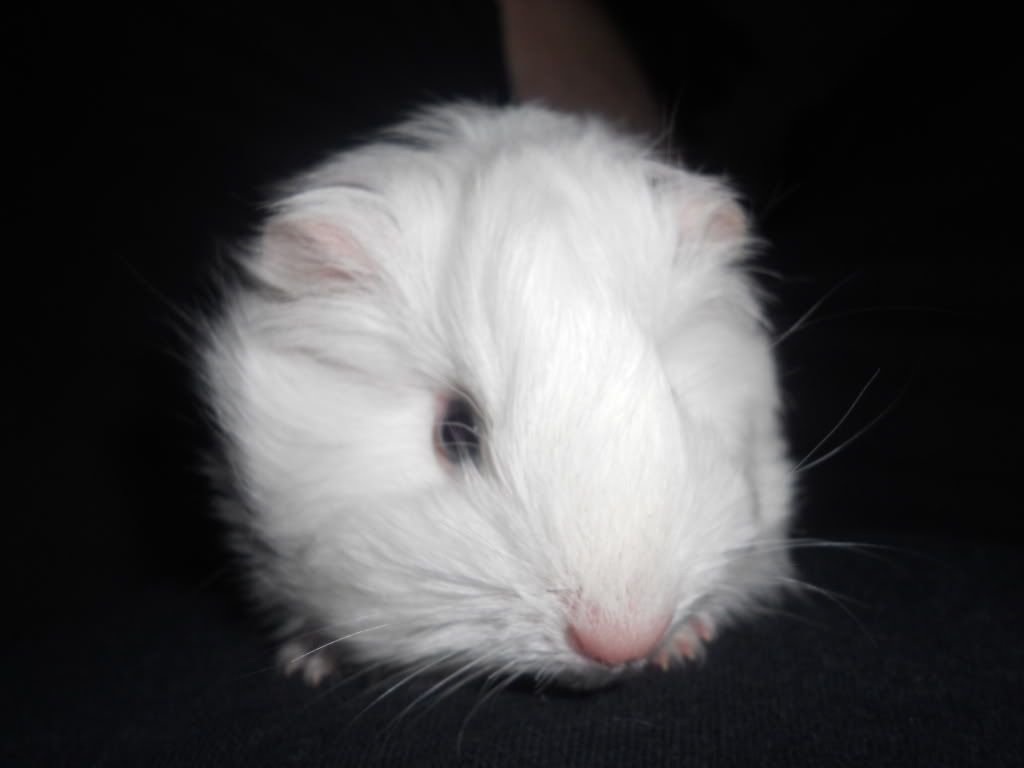 DSCN2708.jpg