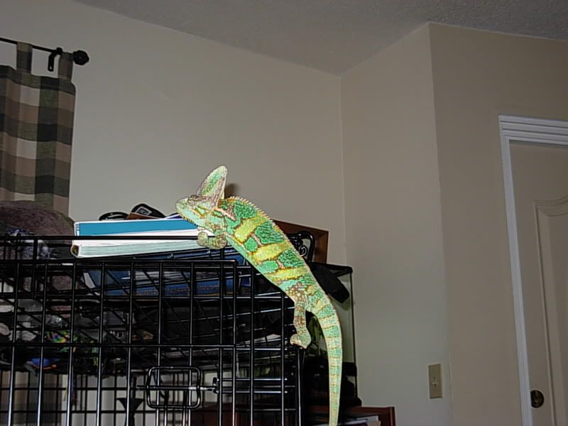 DSCN1382.jpg