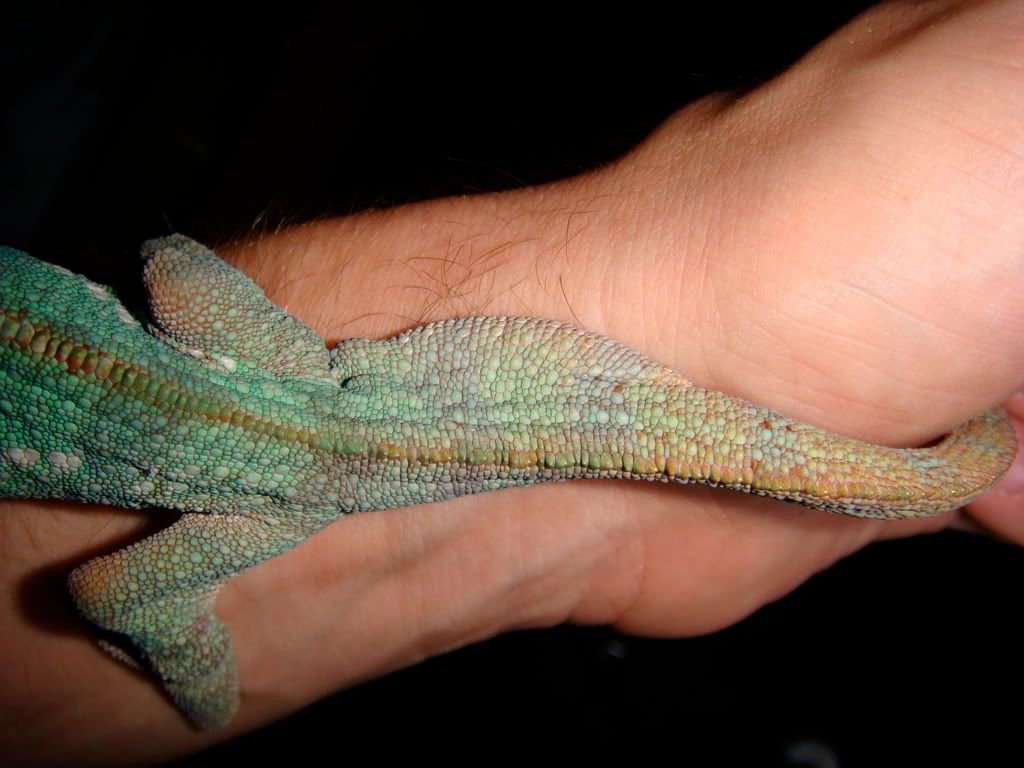 DSC01015.jpg