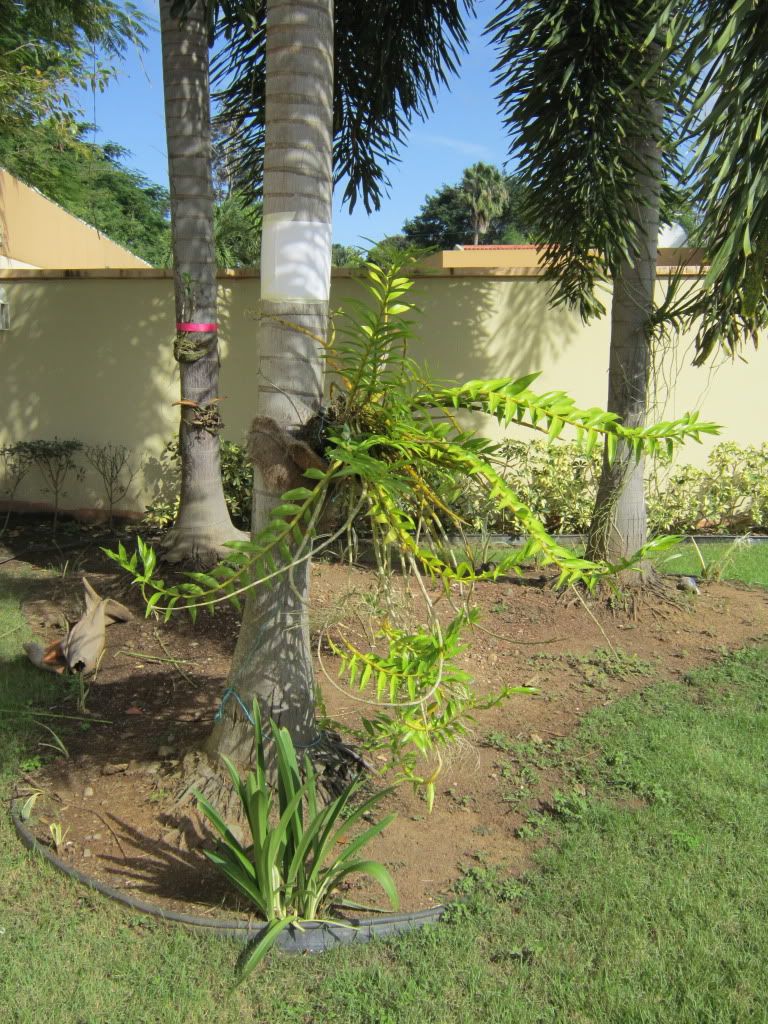 IMG_0608.jpg
