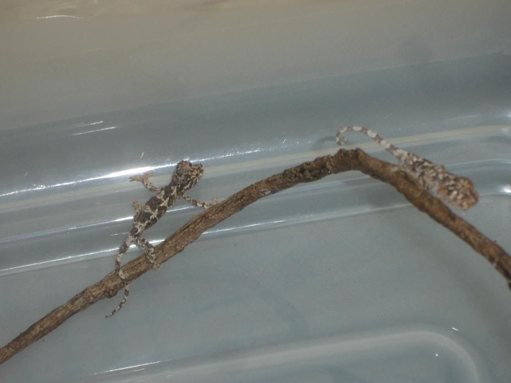 DSC00374.jpg