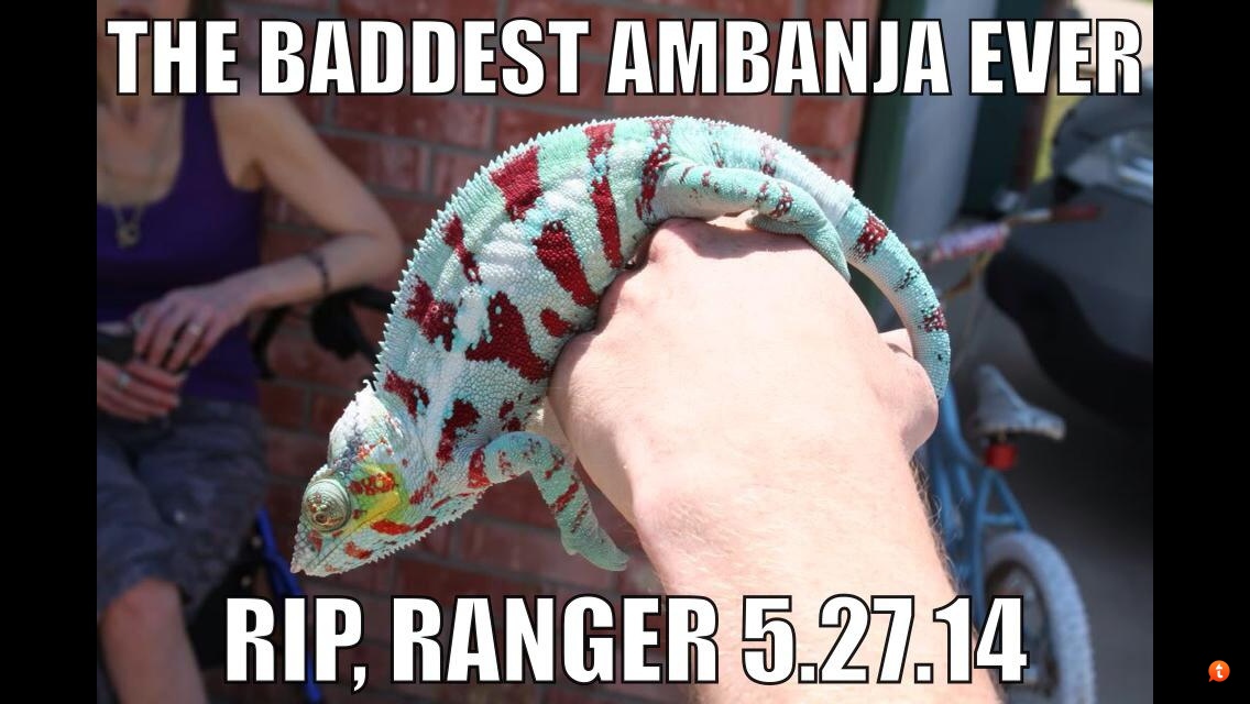 aty2e8un.jpg