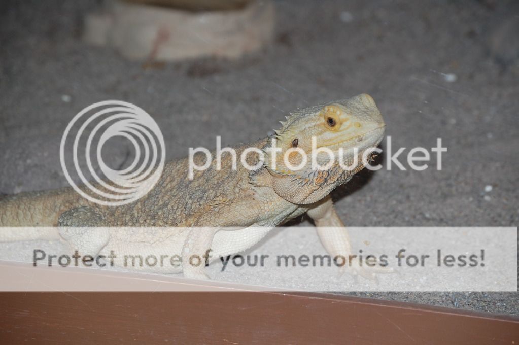 Zoo091.jpg