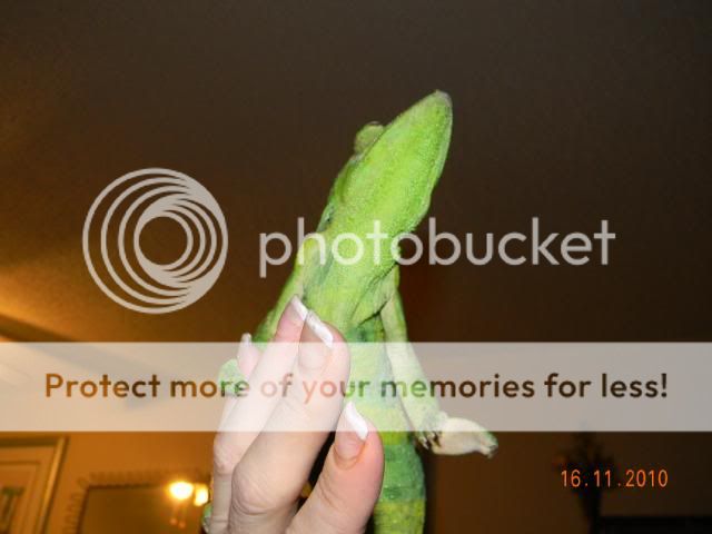 20101116_25.jpg