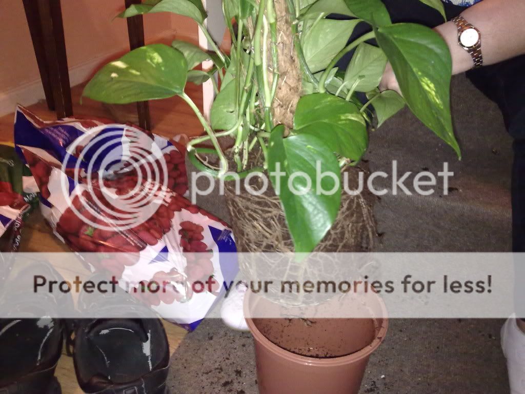 28072010134.jpg